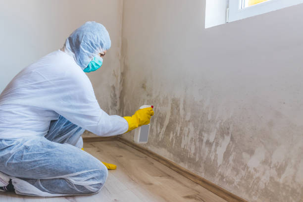 Hvac And Air Duct Mold Remediation inspection of HVAC system in Miller Place